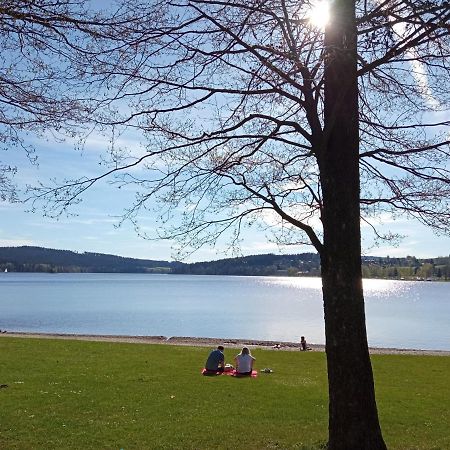Apartman29 Lipno nad Vltavou Εξωτερικό φωτογραφία