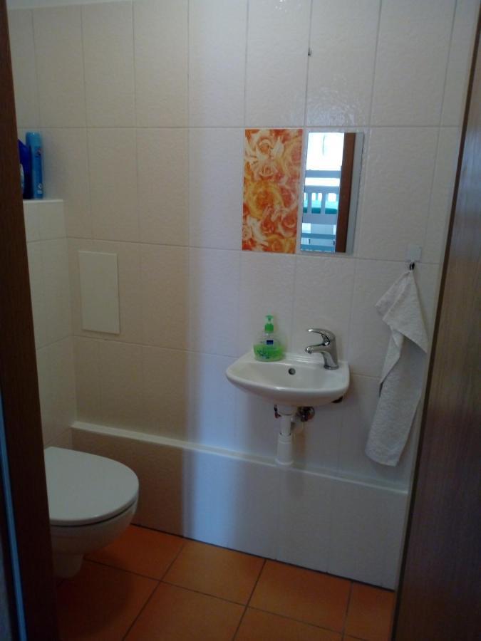Apartman29 Lipno nad Vltavou Εξωτερικό φωτογραφία