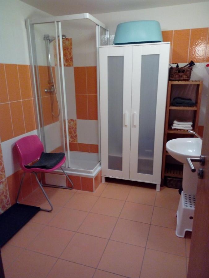 Apartman29 Lipno nad Vltavou Εξωτερικό φωτογραφία